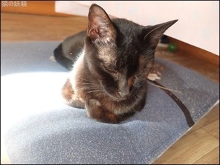 s-DSCF8013.jpg
