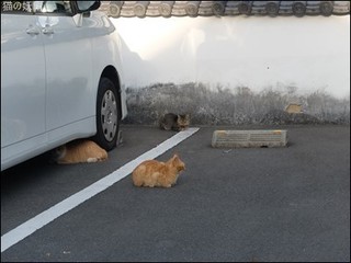 s-DSCF8054.jpg
