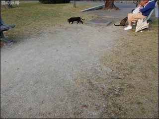 s-DSCF8073.jpg