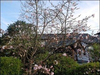 s-DSCF8078.jpg