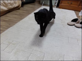 s-DSCF8086.jpg