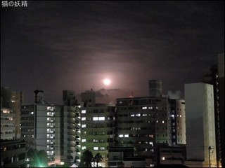s-DSCF8093.jpg