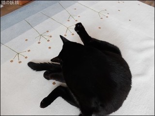 s-DSCF8107.jpg