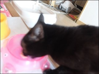 s-DSCF8107.jpg