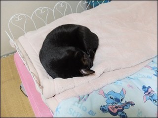 s-DSCF8118.jpg