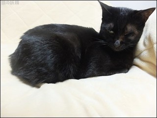 s-DSCF8123.jpg