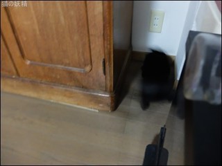s-DSCF8127.jpg