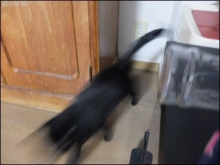 s-DSCF8128.jpg