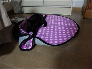 s-DSCF8129.jpg