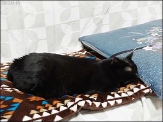 s-DSCF8130.jpg