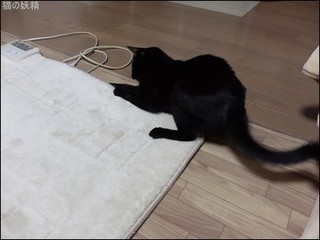 s-DSCF8137.jpg