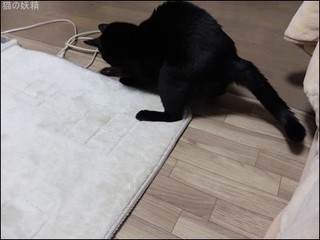 s-DSCF8139.jpg