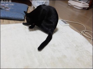s-DSCF8142.jpg