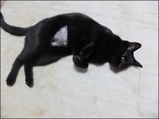 s-DSCF8146.jpg