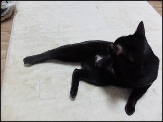 s-DSCF8148.jpg