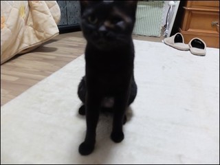 s-DSCF8149.jpg