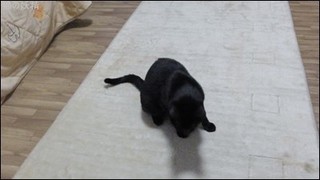 s-DSCF8154.jpg
