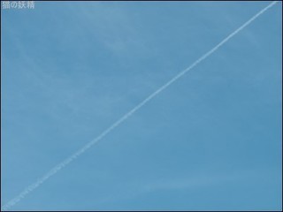 s-DSCF8173.jpg