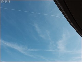 s-DSCF8175.jpg