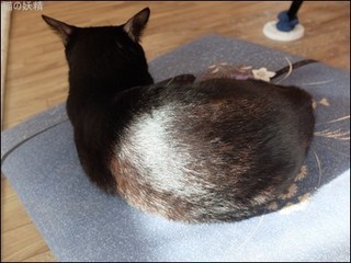 s-DSCF8179.jpg