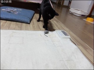 s-DSCF8189.jpg
