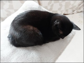 s-DSCF8197.jpg