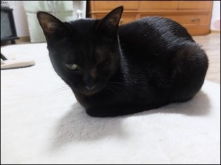 s-DSCF8217.jpg