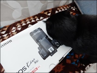 s-DSCF8249.jpg