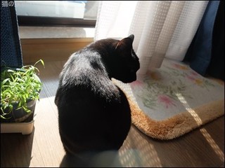 s-DSCF8249.jpg