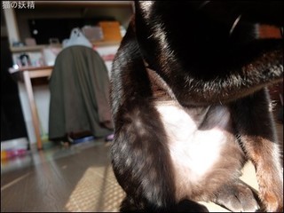 s-DSCF8253.jpg