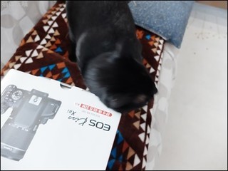 s-DSCF8256.jpg