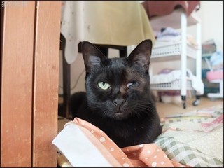 s-DSCF8275.jpg