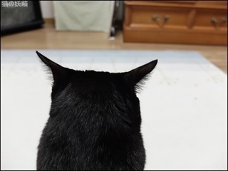 s-DSCF8282.jpg