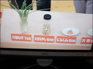 s-DSCF8311.jpg