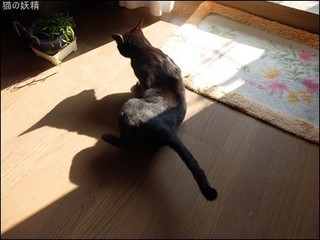 s-DSCF8327.jpg