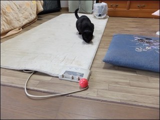 s-DSCF8377.jpg