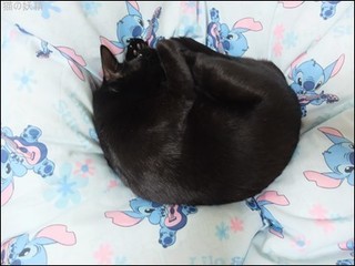 s-DSCF8382.jpg