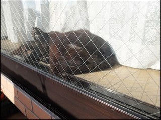 s-DSCF8395.jpg