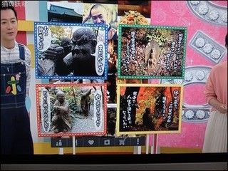 s-DSCF8444.jpg