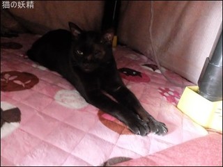 s-DSCF8461.jpg