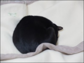 s-DSCF8517.jpg