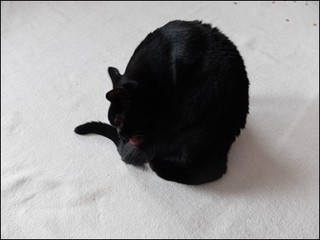 s-DSCF8520.jpg