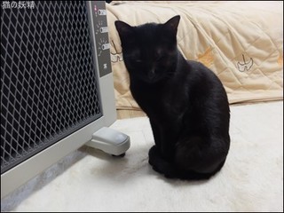 s-DSCF8525.jpg