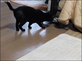 s-DSCF8535.jpg
