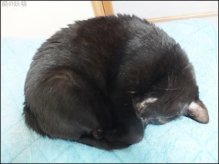 s-DSCF8550.jpg