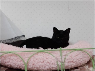 s-DSCF8557.jpg