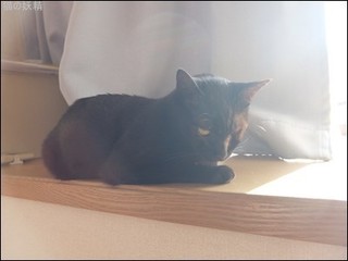 s-DSCF8586.jpg