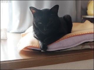 s-DSCF8605.jpg