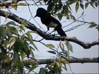 s-DSCF8614.jpg