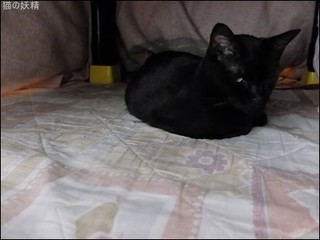 s-DSCF8627.jpg